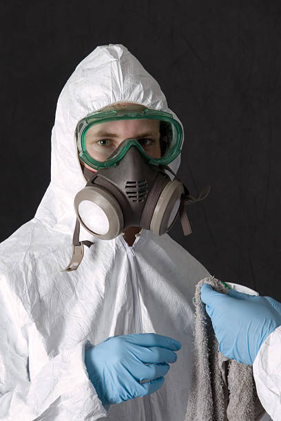  Shelton, NE Mold Removal Pros